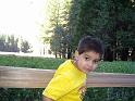 Picture 100